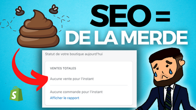 DROPSHIPPING SEO: Ca marche PAS 💩