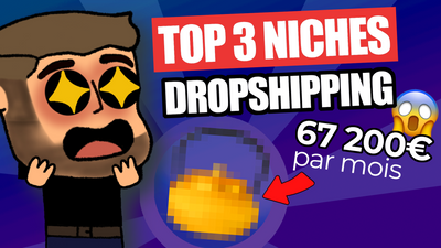 DROPSHIPPING: TOP 3 des NICHES en 2022 (À lancer MAINTENANT!)